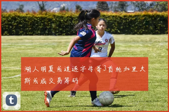 湖人明夏或追逐字母哥3首轮加里夫斯或成交易筹码