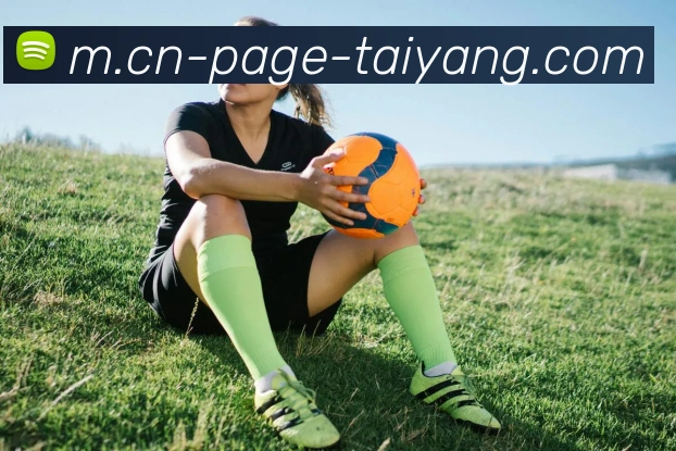 太阳城品牌故事